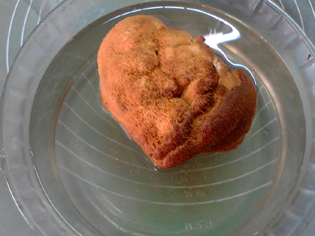 參芪猴菇燉雞的做法-咸鮮味燉菜譜