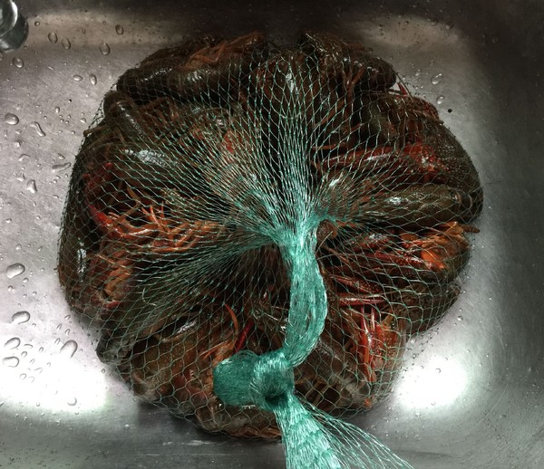 麻辣小龍蝦的做法-香辣味炒菜譜-易網<a href=http://www.jsjjzhkt.cn/ target=_blank class=infotextkey>健康養生</a>網 麻辣小龍蝦的做法-香辣味炒菜譜