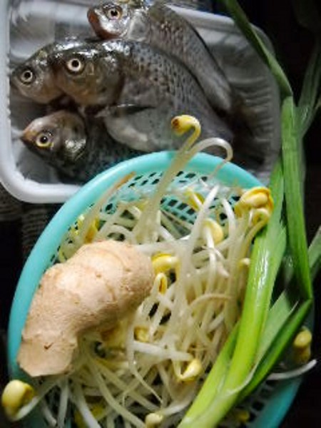 豆芽燒鯽魚的做法-咸鮮味燒菜譜-易網<a href=http://www.jsjjzhkt.cn/ target=_blank class=infotextkey>健康養生</a>網 豆芽燒鯽魚的做法-咸鮮味燒菜譜