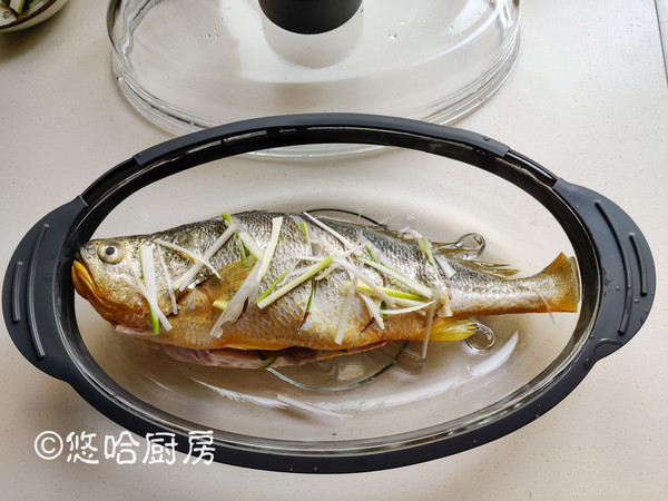 清蒸大黃魚的做法-家常味蒸菜譜-易網健康養生網 清蒸大黃魚的做法-家常味蒸菜譜