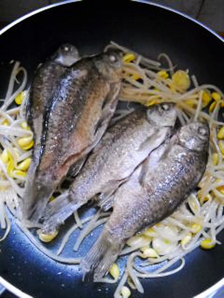豆芽燒鯽魚的做法-咸鮮味燒菜譜-易網健康養生網 豆芽燒鯽魚的做法-咸鮮味燒菜譜