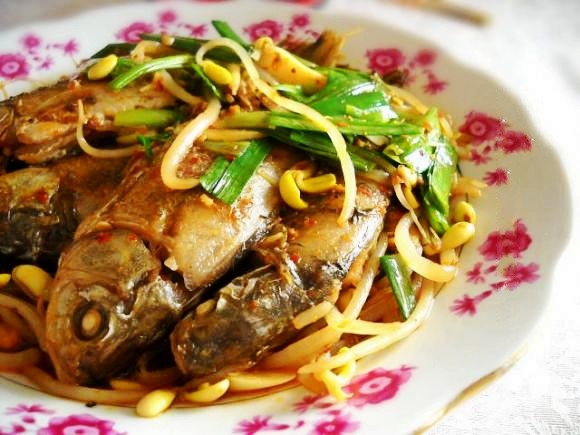 豆芽燒鯽魚的做法-咸鮮味燒菜譜-易網健康養生網 豆芽燒鯽魚的做法-咸鮮味燒菜譜