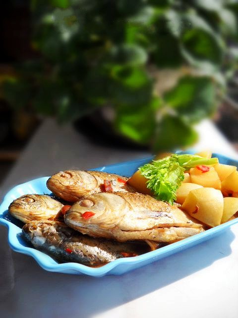 蘿卜燉鯽魚的做法-咸鮮味燉菜譜