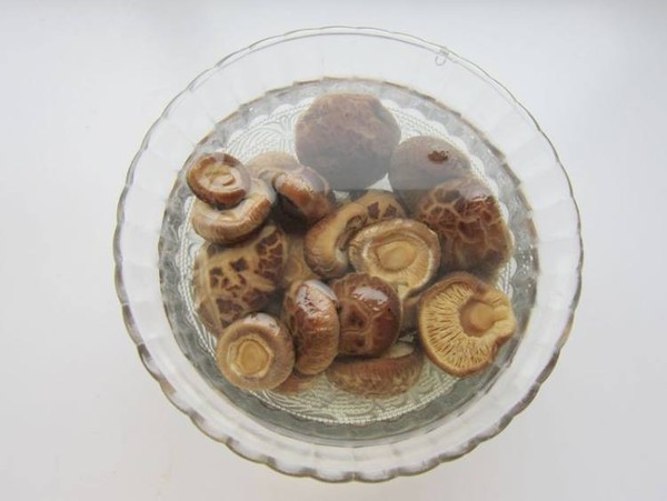 香菇燒紅嘴雁的做法-家常味燒菜譜-易網健康養生網 香菇燒紅嘴雁的做法-家常味燒菜譜