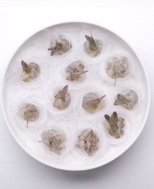 鴻運沖天蝦的做法-蒜香味蒸菜譜-易網健康養生網 鴻運沖天蝦的做法-蒜香味蒸菜譜