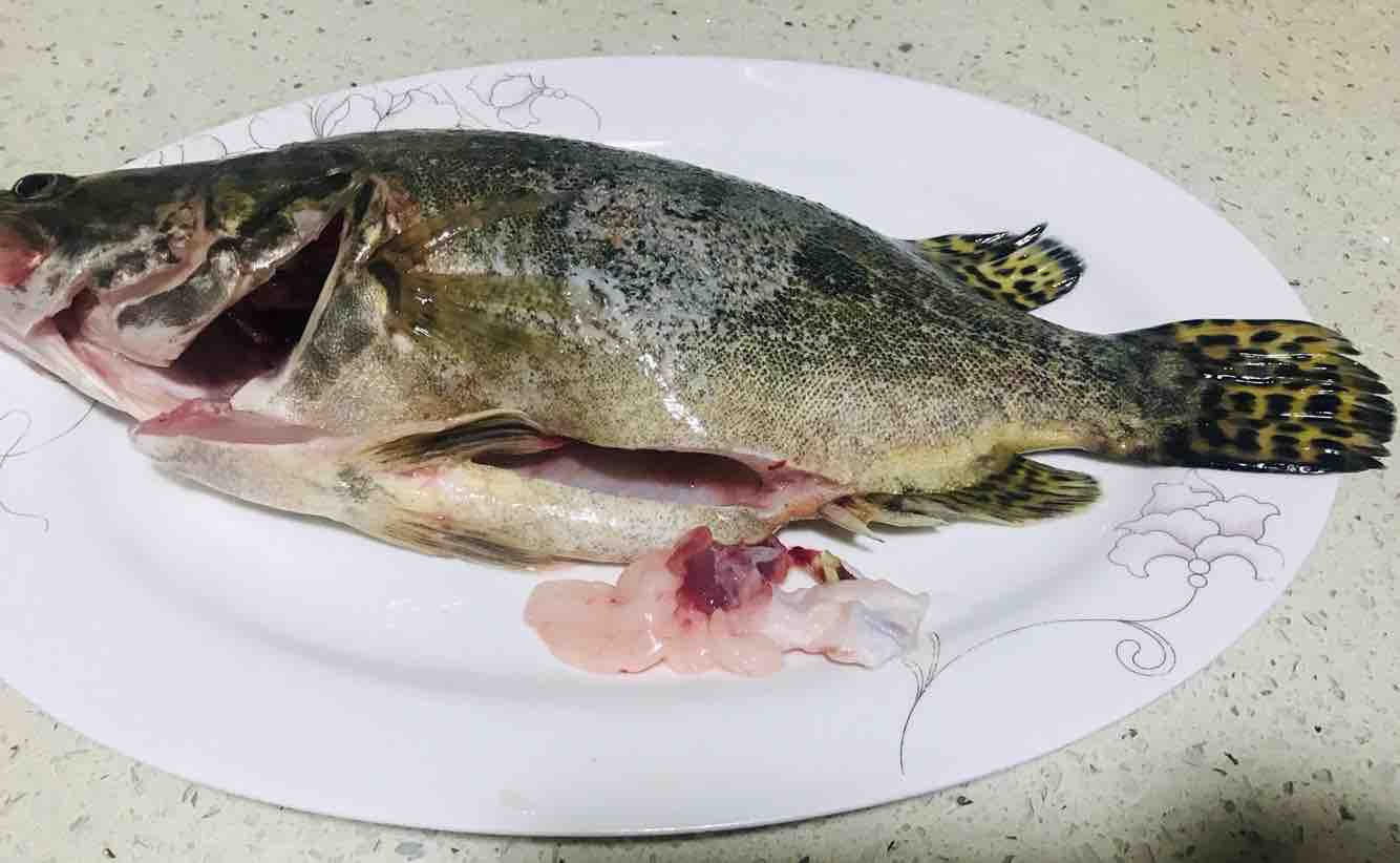 清蒸石斑魚的做法-家常味蒸菜譜