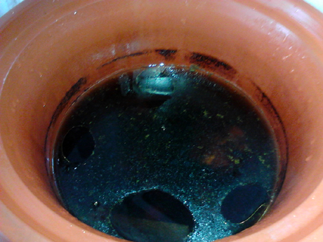 杜仲牛尾湯的做法-咸鮮味燉菜譜