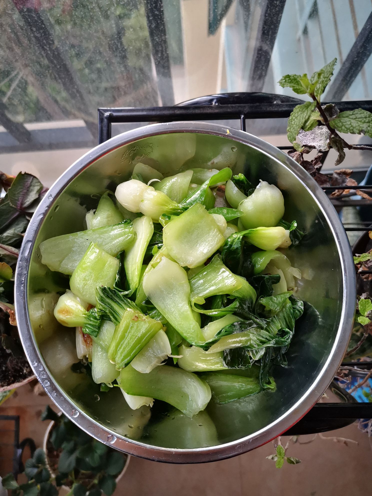 青椒小油菜的做法-家常味炒菜譜