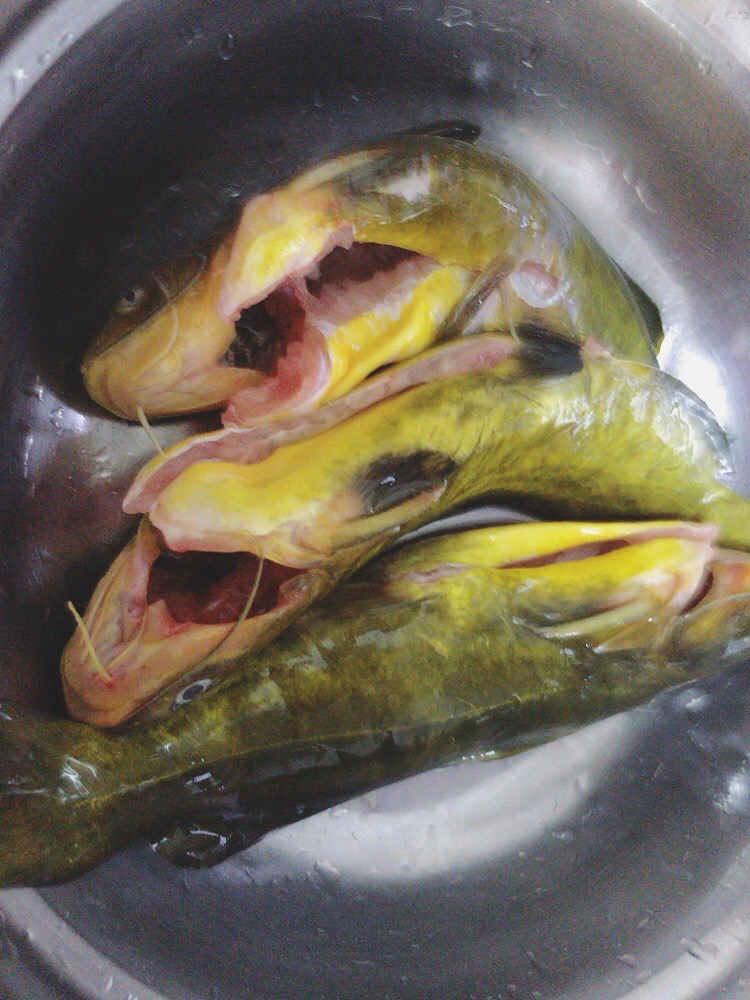 黃骨魚燉豆腐的做法-香辣味燉菜譜-易網<a href=http://www.jsjjzhkt.cn/ target=_blank class=infotextkey>健康養生</a>網 黃骨魚燉豆腐的做法-香辣味燉菜譜