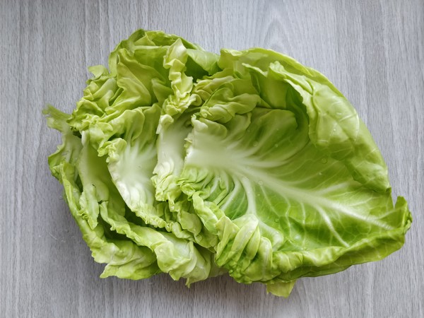 培根包菜卷的做法-咸鮮味蒸菜譜-易網健康養(yǎng)生網 培根包菜卷的做法-咸鮮味蒸菜譜