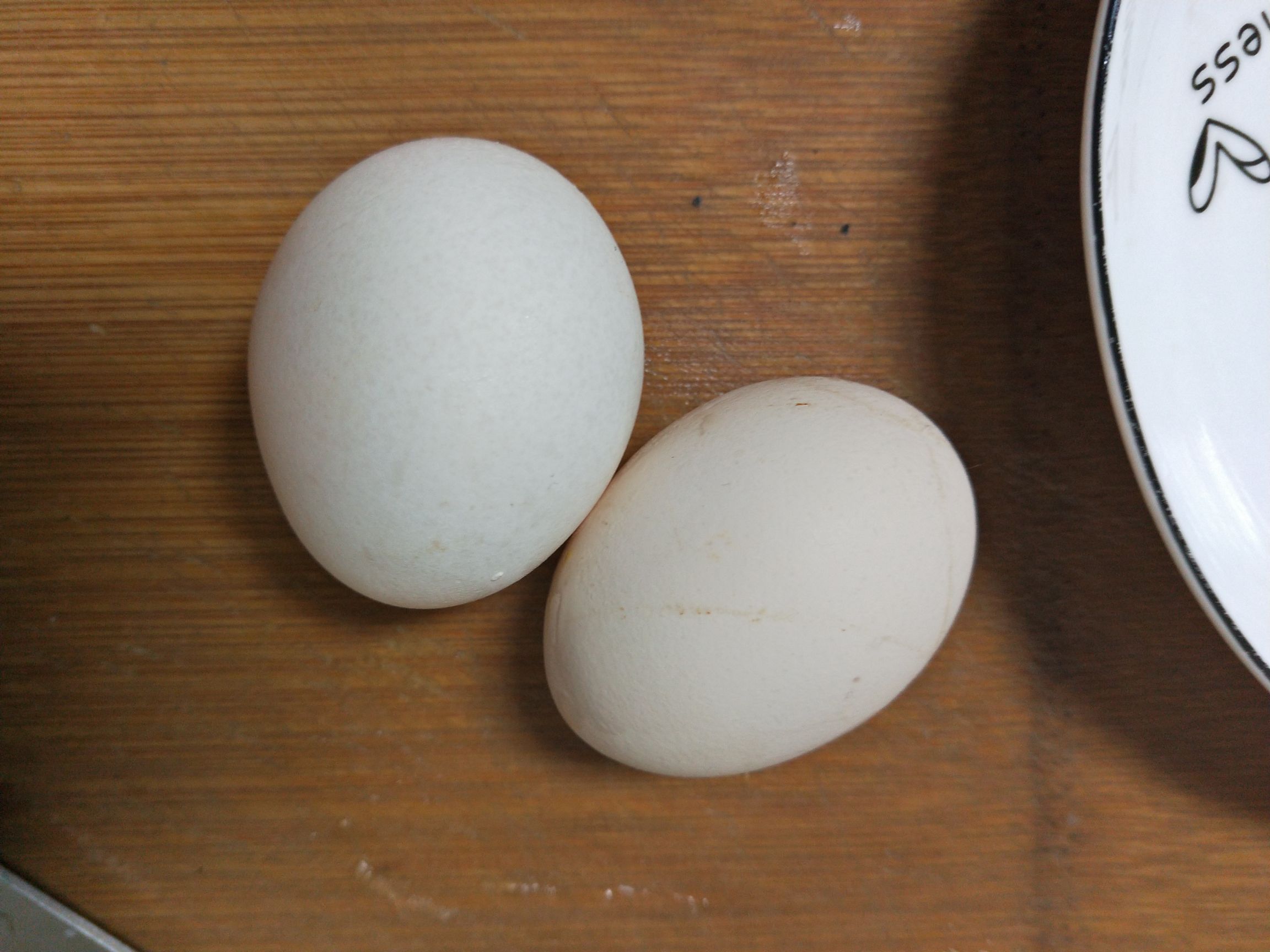 蒸水蛋的做法-家常味蒸菜譜