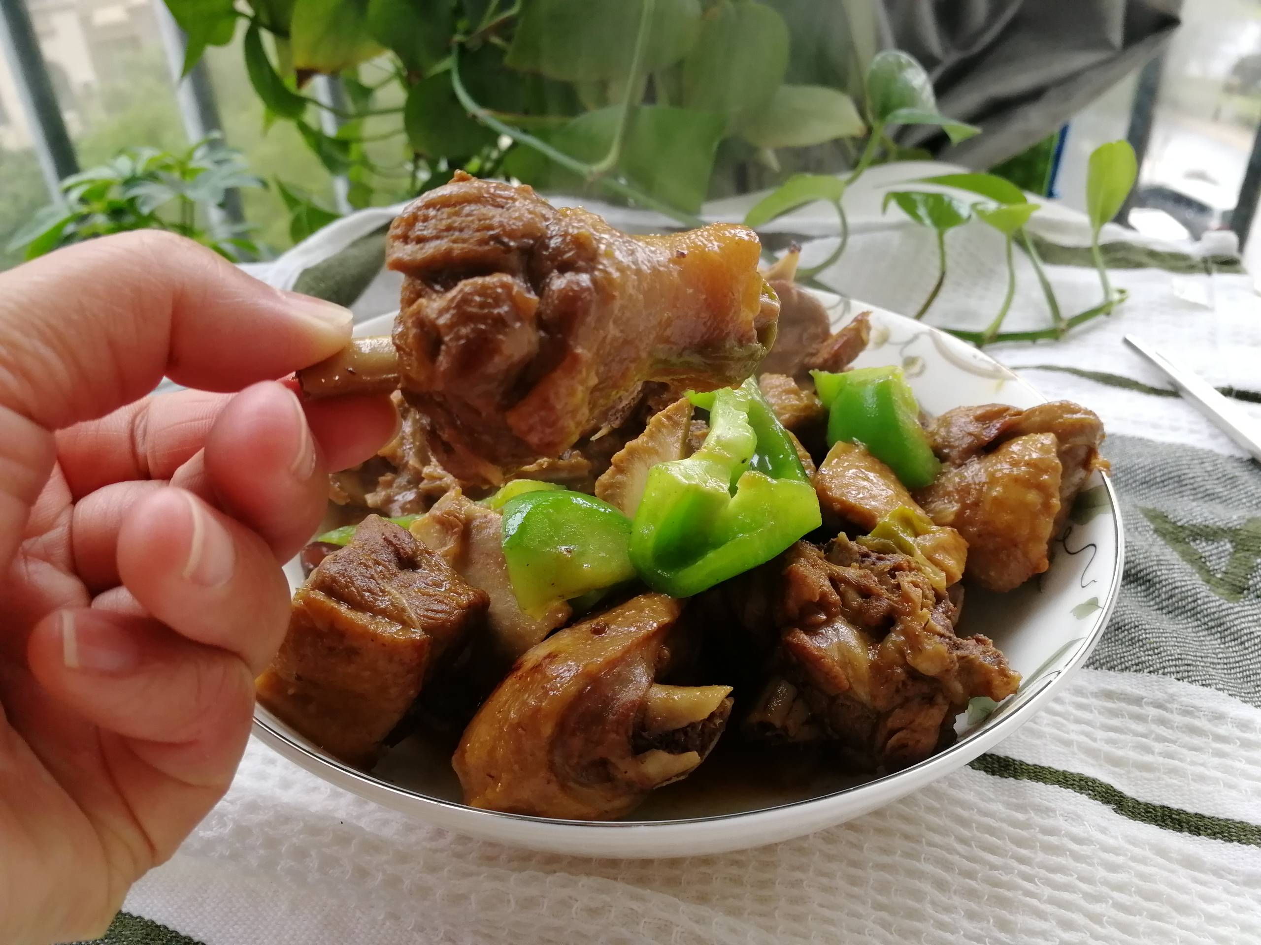 紅燒鵝肉的做法-咸鮮味煮菜譜-易網健康養生網 紅燒鵝肉的做法-咸鮮味煮菜譜