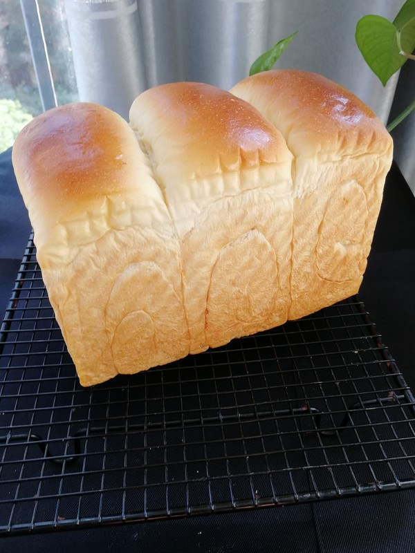 肉松吐司的做法-咸鮮味烘焙菜譜-易網健康養生網 肉松吐司的做法-咸鮮味烘焙菜譜