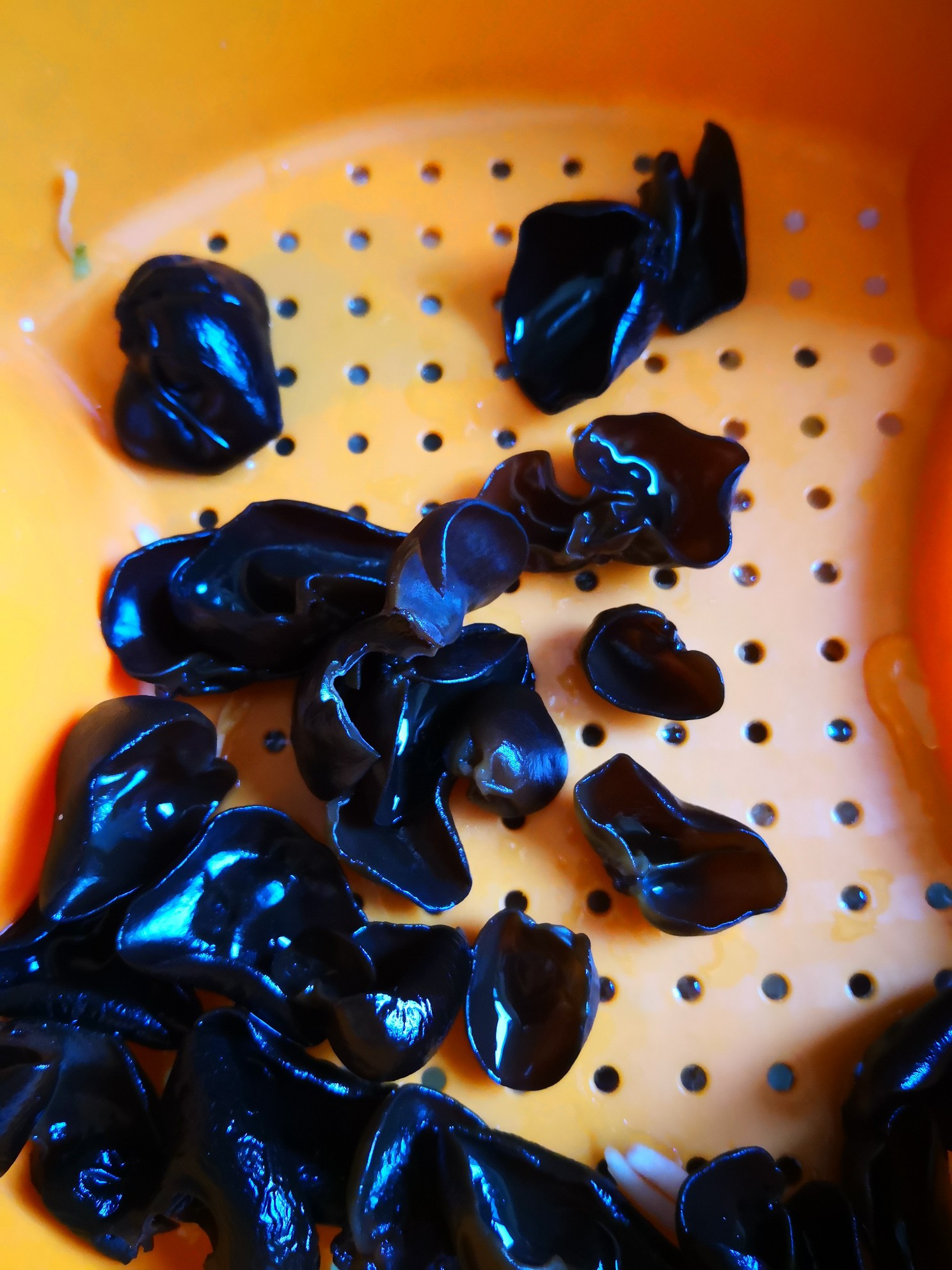 豆芽炒木耳的做法-家常味炒菜譜