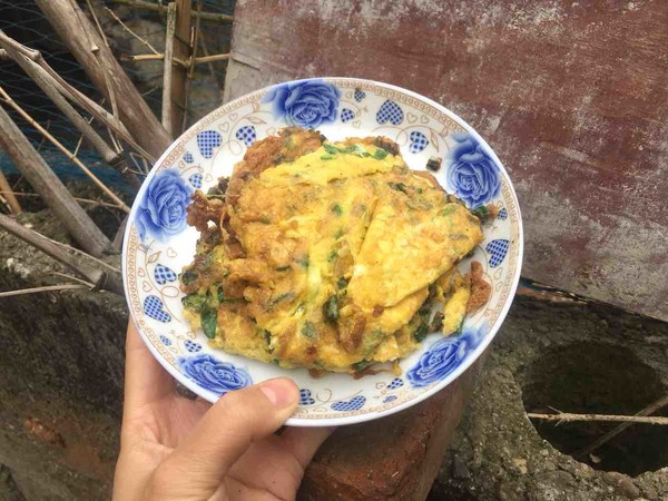 蔥花蛋的做法-家常味煎菜譜-易網健康養生網 蔥花蛋的做法-家常味煎菜譜