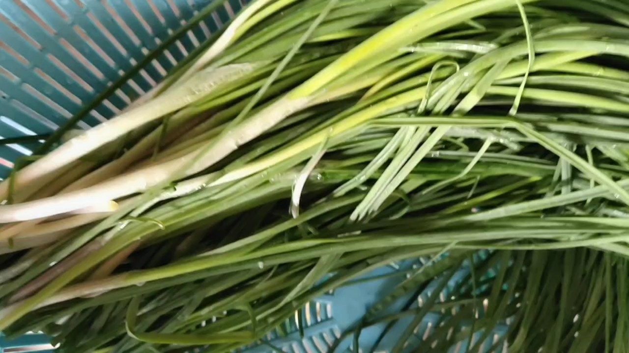 野韭菜炒雞蛋的做法-家常味炒菜譜-易網<a href=http://www.jsjjzhkt.cn/ target=_blank class=infotextkey>健康養生</a>網 野韭菜炒雞蛋的做法-家常味炒菜譜