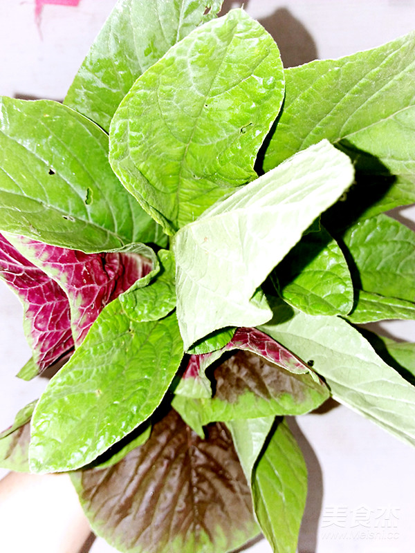 野莧菜這樣做既有營養(yǎng)又好吃哦的做法-家常味炒菜譜-易網(wǎng)健康養(yǎng)生網(wǎng) 野莧菜這樣做既有營養(yǎng)又好吃哦的做法-家常味炒菜譜