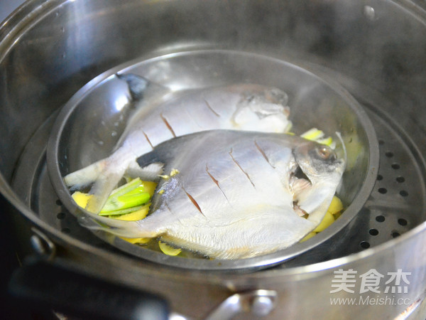 健康美味的清蒸鯧魚的做法-咸鮮味蒸菜譜-易網健康養生網 健康美味的清蒸鯧魚的做法-咸鮮味蒸菜譜