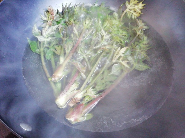 刺嫩芽煎蛋的做法-香辣味煎菜譜-易網健康養生網 刺嫩芽煎蛋的做法-香辣味煎菜譜