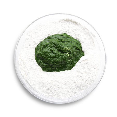 清明時令,別忘了嘗春的做法-家常味蒸菜譜-易網健康養生網 清明時令,別忘了嘗春的做法-家常味蒸菜譜