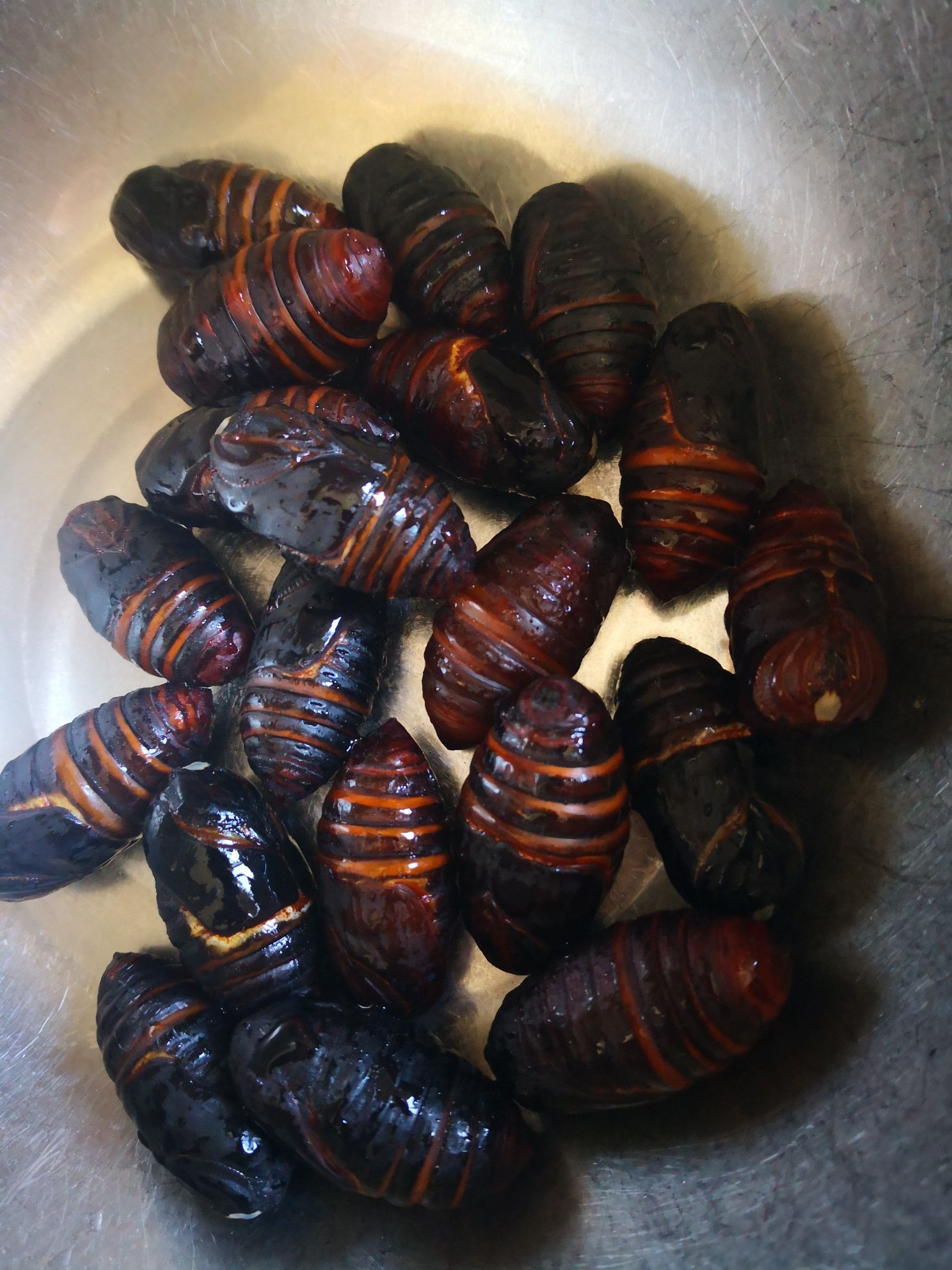 蔥香繭蛹的做法-家常味炒菜譜-易網<a href=http://www.jsjjzhkt.cn/ target=_blank class=infotextkey>健康養生</a>網 蔥香繭蛹的做法-家常味炒菜譜