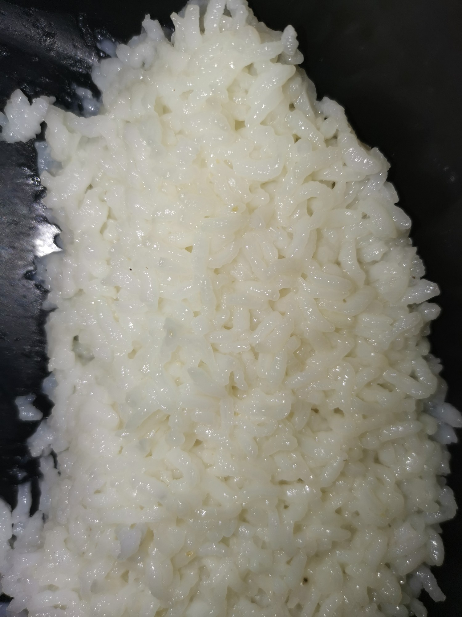 青口貝營養粥的做法-家常味煮菜譜