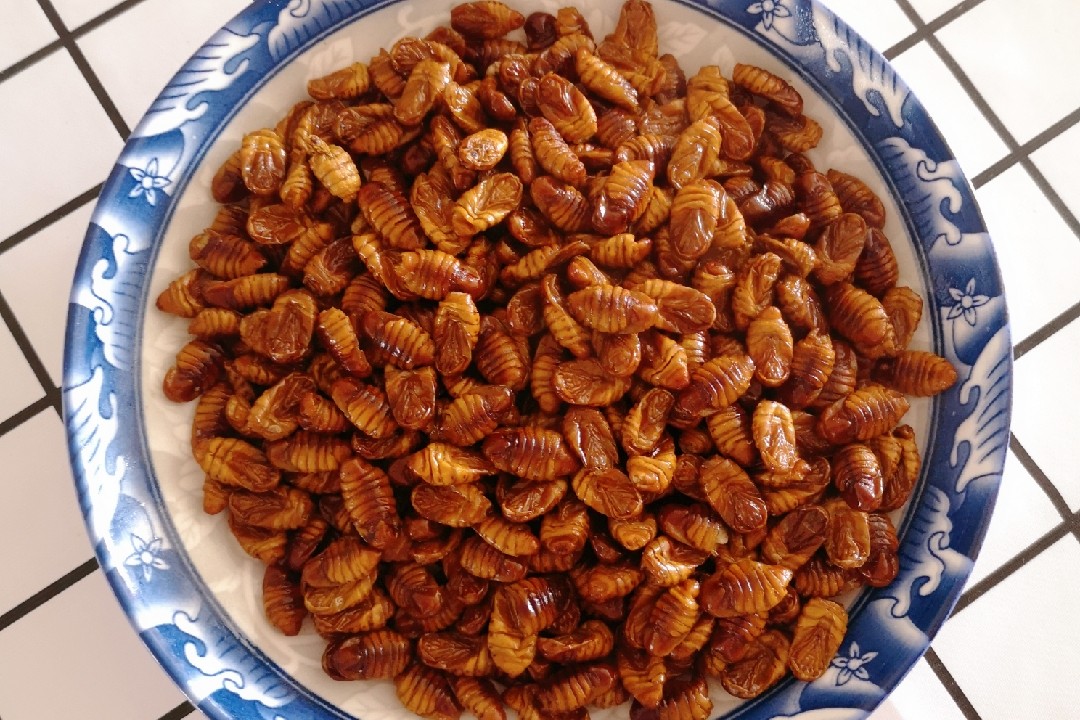 炒蠶蛹的做法-家常味炒菜譜-易網健康養生網 炒蠶蛹的做法-家常味炒菜譜