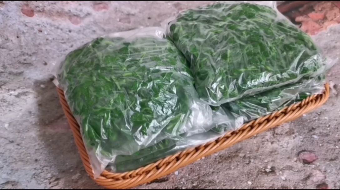 野菜的保存方法的做法-家常味煮菜譜