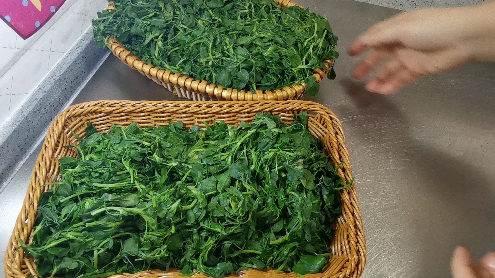 野菜的保存方法的做法-家常味煮菜譜-易網(wǎng)健康養(yǎng)生網(wǎng) 野菜的保存方法的做法-家常味煮菜譜