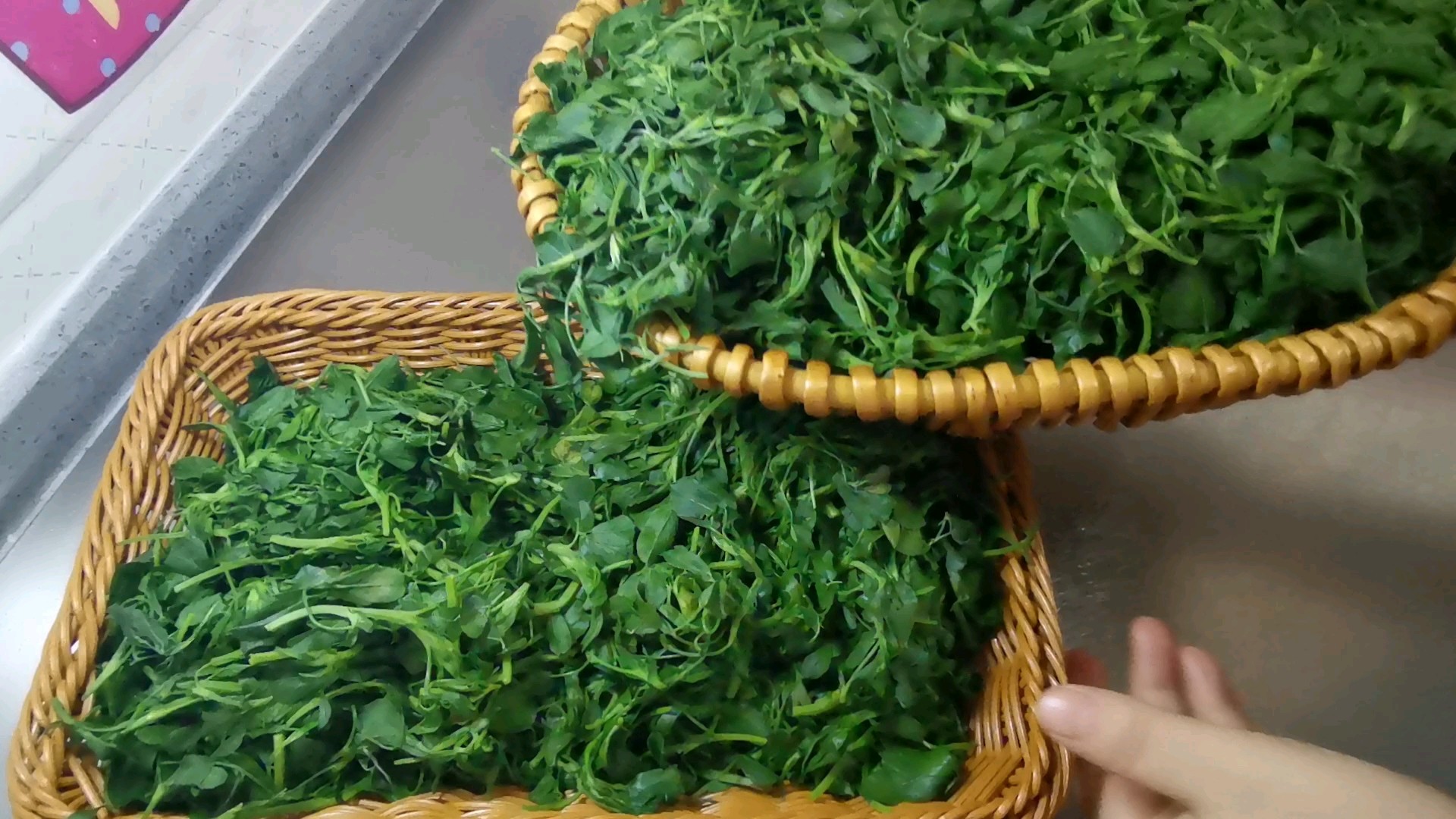 野菜的保存方法的做法-家常味煮菜譜