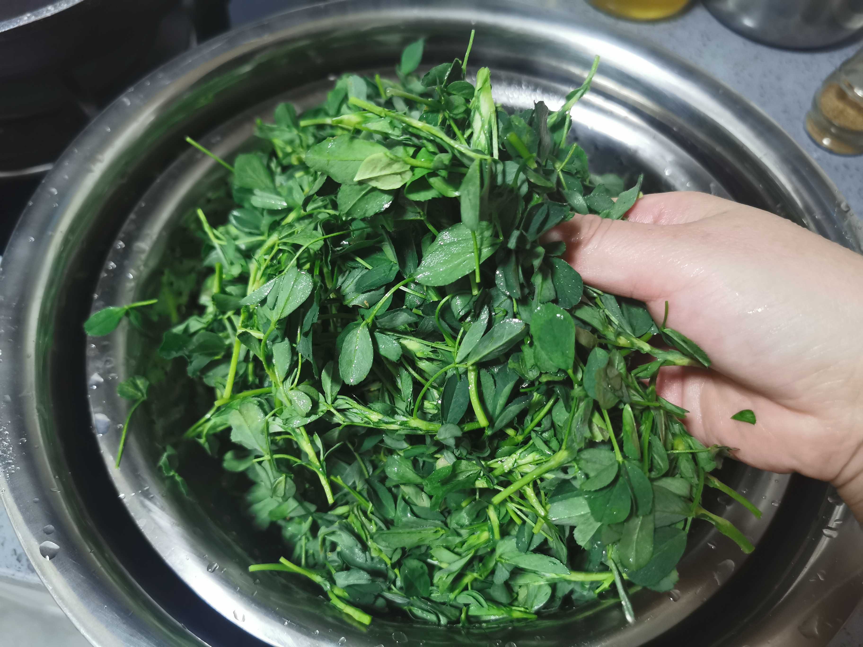 野菜的保存方法的做法-家常味煮菜譜-易網(wǎng)<a href=http://www.jsjjzhkt.cn/ target=_blank class=infotextkey>健康養(yǎng)生</a>網(wǎng) 野菜的保存方法的做法-家常味煮菜譜