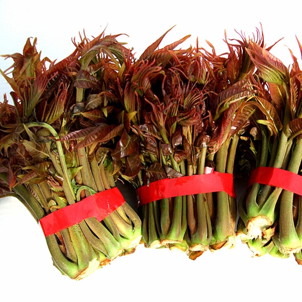 香椿芽炒蛋--春天來了的做法-咸鮮味炒菜譜-易網健康養生網 香椿芽炒蛋--春天來了的做法-咸鮮味炒菜譜