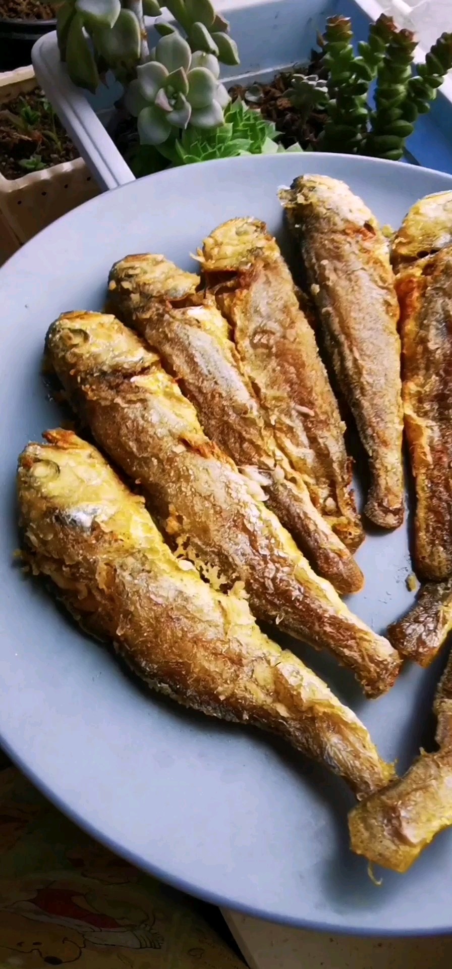 香酥黃花魚的做法-咸鮮味煎菜譜