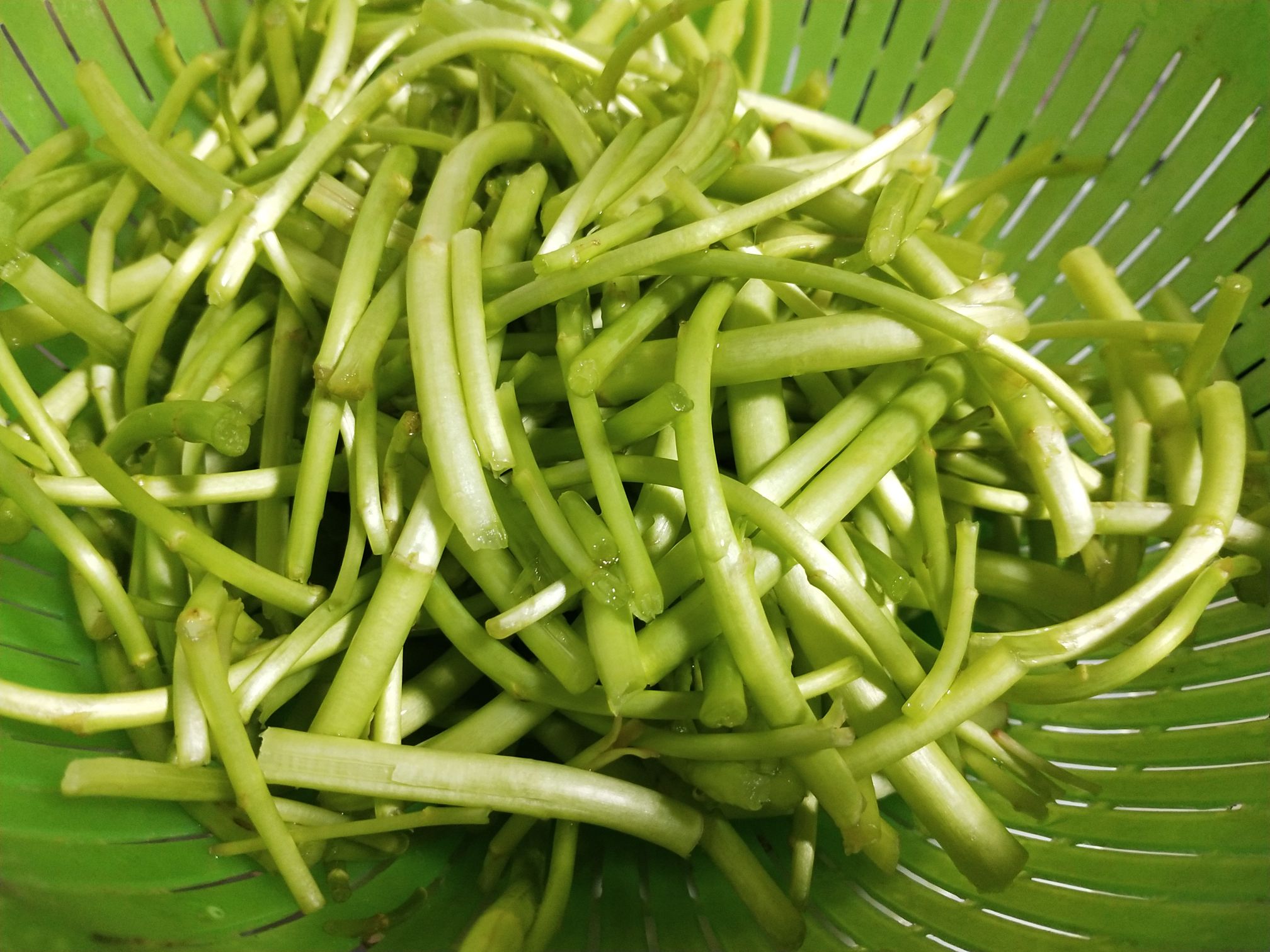 藜蒿炒臘肉的做法-家常味炒菜譜-易網健康養生網 藜蒿炒臘肉的做法-家常味炒菜譜