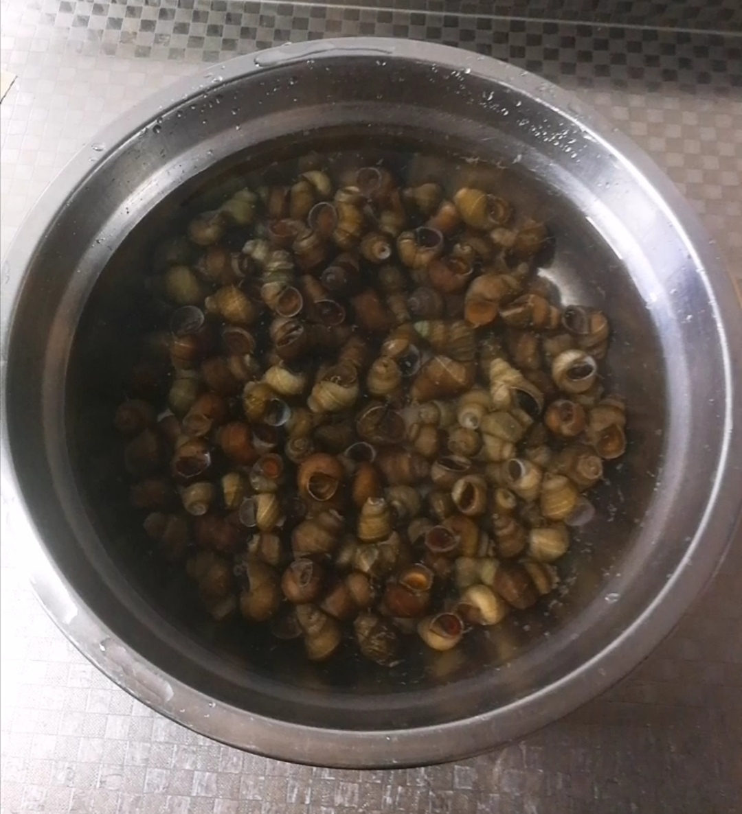 辣炒田螺的做法-香辣味炒菜譜-易網(wǎng)<a href=http://www.jsjjzhkt.cn/ target=_blank class=infotextkey>健康養(yǎng)生</a>網(wǎng) 辣炒田螺的做法-香辣味炒菜譜