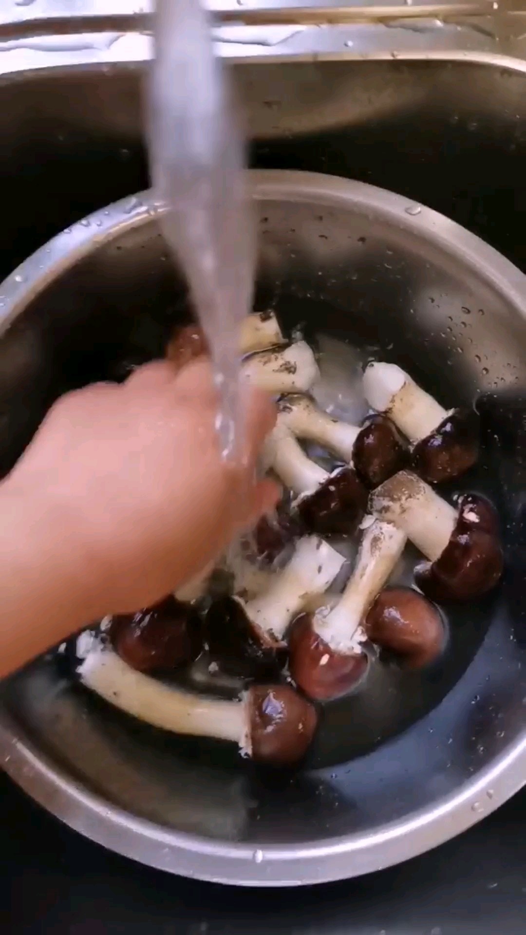 干煸松茸的做法-家常味煎菜譜-易網<a href=http://www.jsjjzhkt.cn/ target=_blank class=infotextkey>健康養生</a>網 干煸松茸的做法-家常味煎菜譜