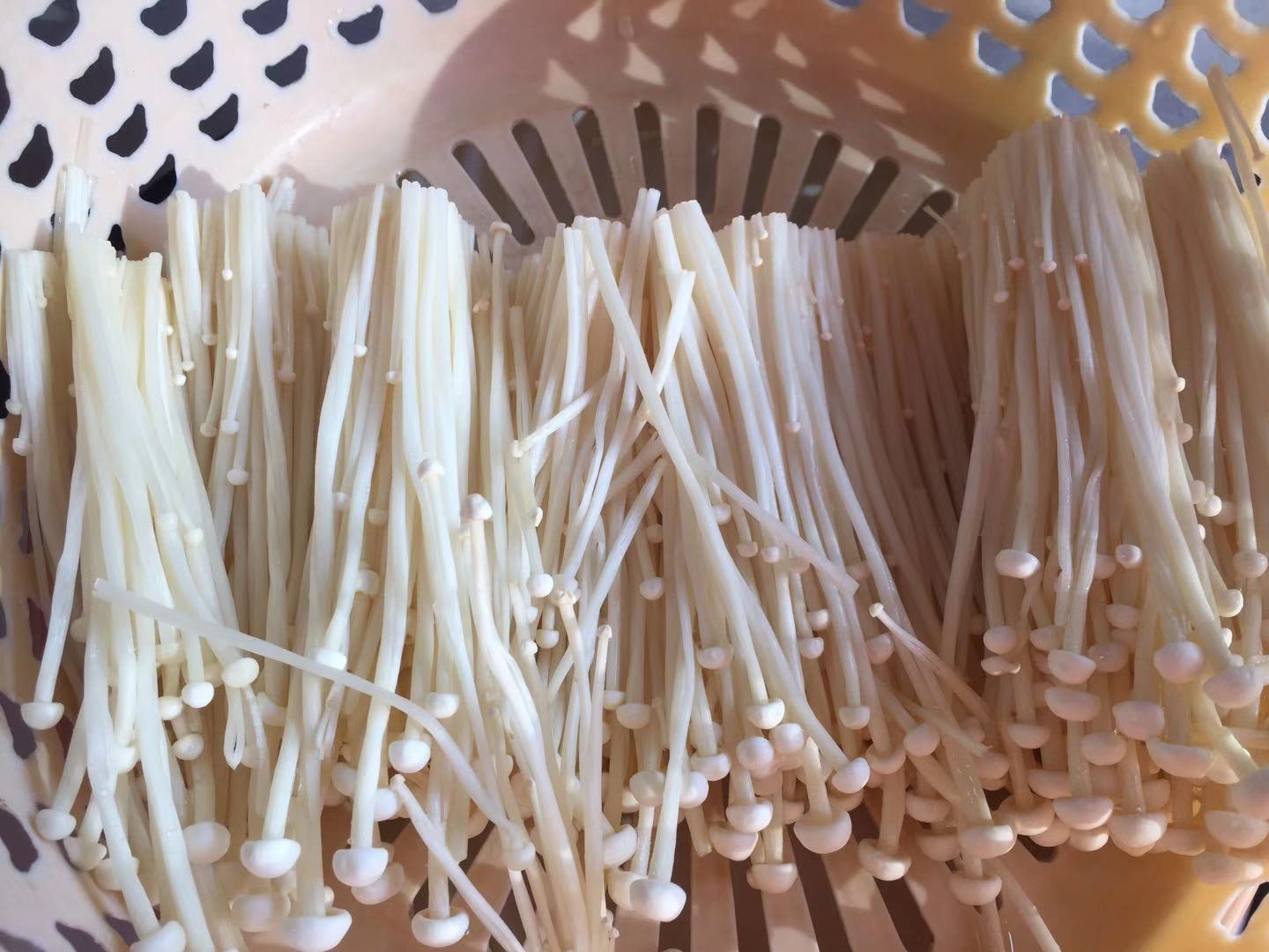 金針菇豆皮卷的做法-家常味燒菜譜-易網<a href=http://www.jsjjzhkt.cn/ target=_blank class=infotextkey>健康養生</a>網 金針菇豆皮卷的做法-家常味燒菜譜