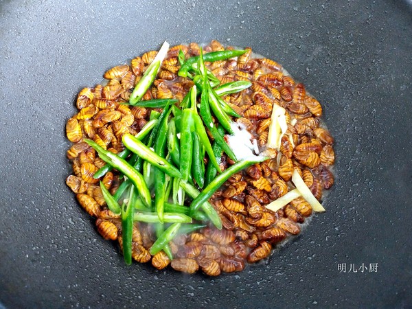 青椒炒蠶蛹的做法-家常味炒菜譜-易網(wǎng)健康養(yǎng)生網(wǎng) 青椒炒蠶蛹的做法-家常味炒菜譜