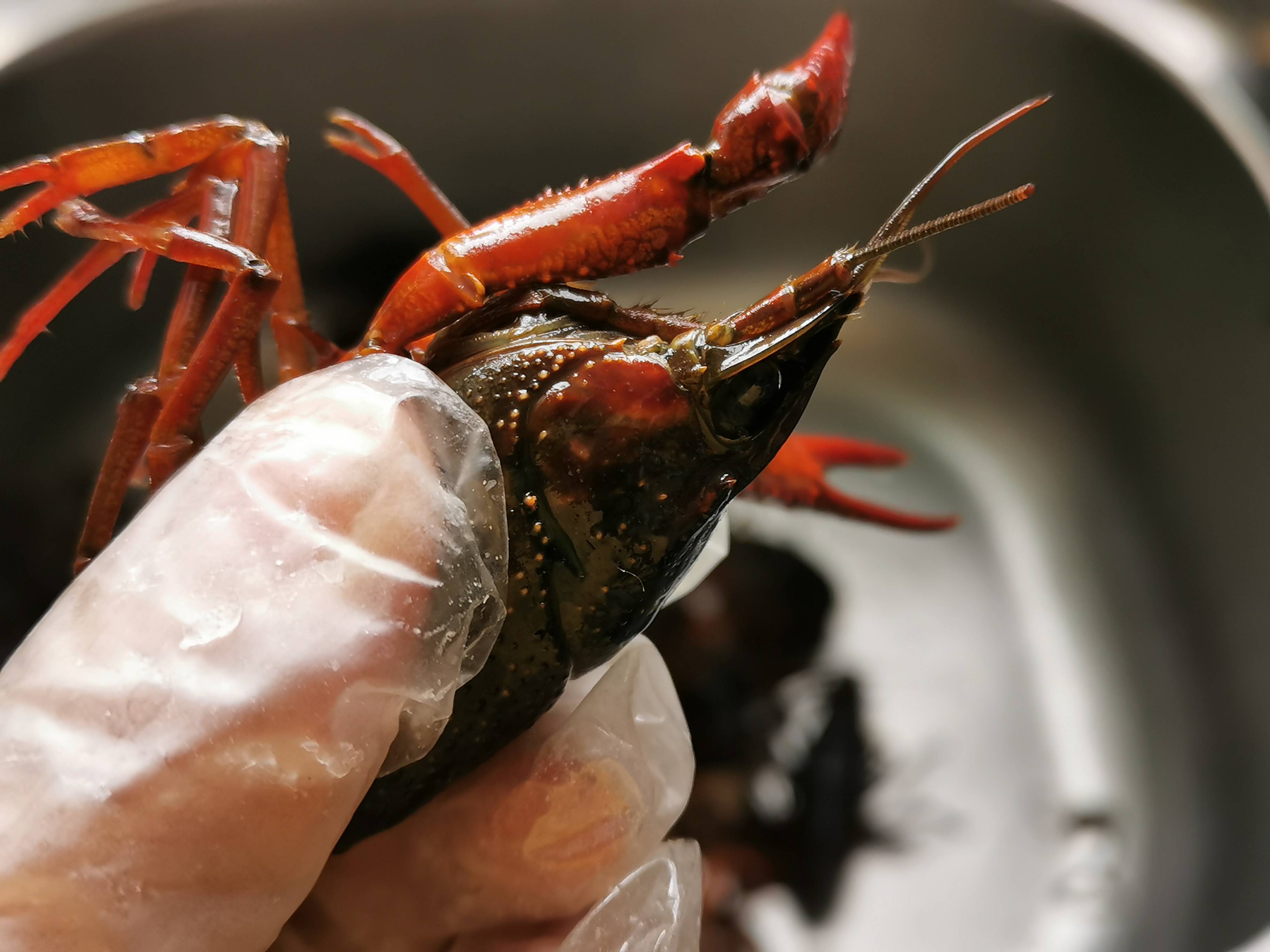 香辣小龍蝦的做法-香辣味炒菜譜-易網(wǎng)健康養(yǎng)生網(wǎng) 香辣小龍蝦的做法-香辣味炒菜譜