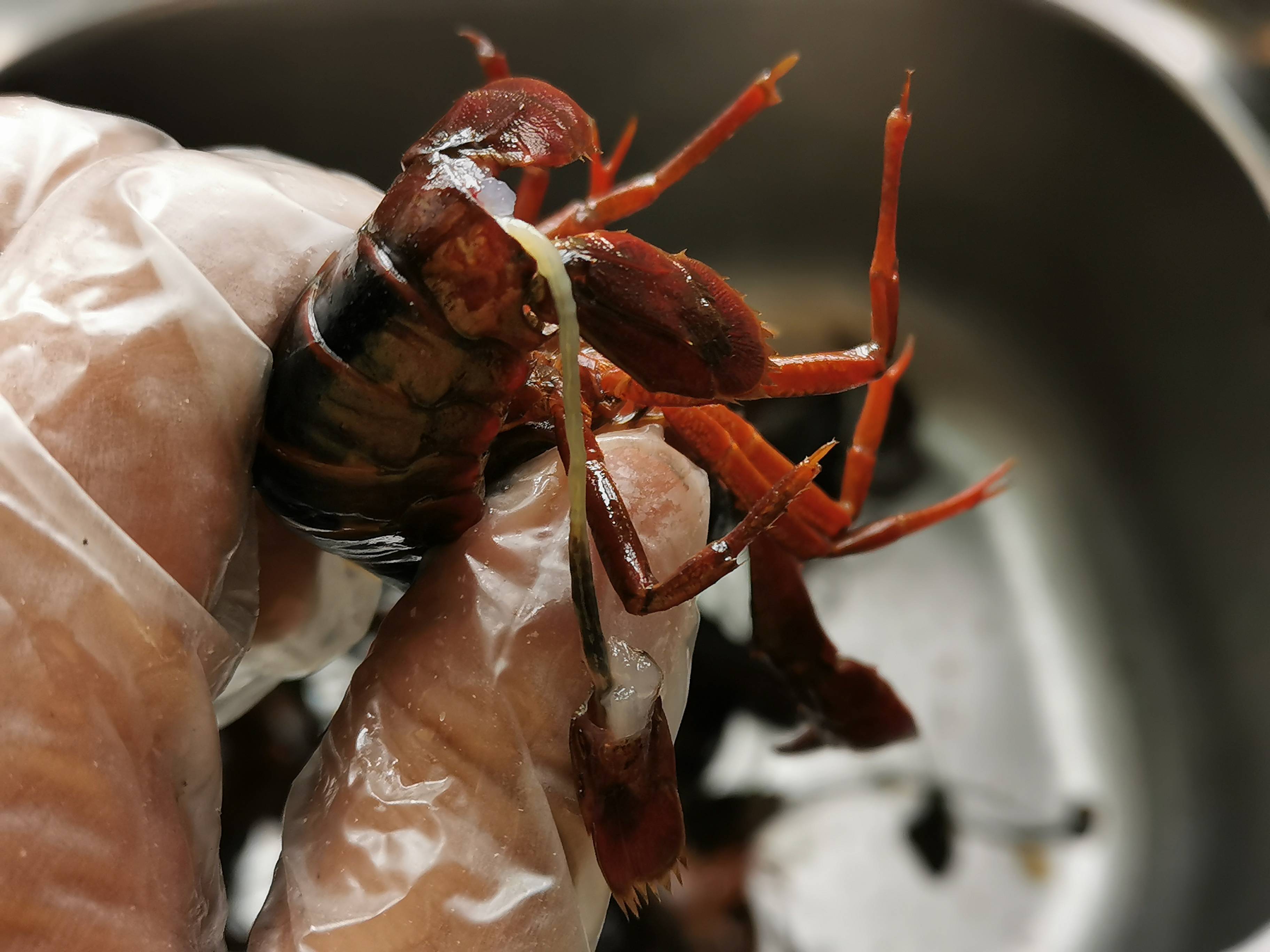 香辣小龍蝦的做法-香辣味炒菜譜-易網(wǎng)健康養(yǎng)生網(wǎng) 香辣小龍蝦的做法-香辣味炒菜譜