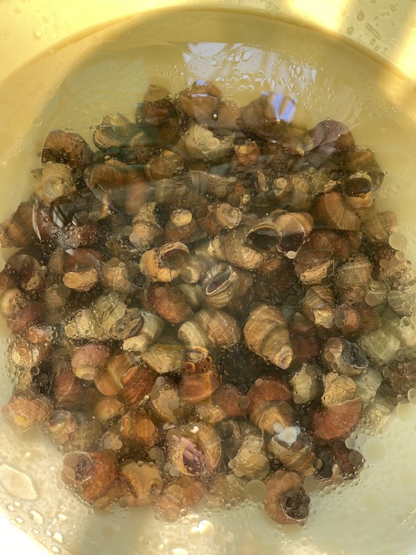 夜宵攤的《香辣田螺》的做法-香辣味炒菜譜-易網<a href=http://www.jsjjzhkt.cn/ target=_blank class=infotextkey>健康養生</a>網 夜宵攤的《香辣田螺》的做法-香辣味炒菜譜