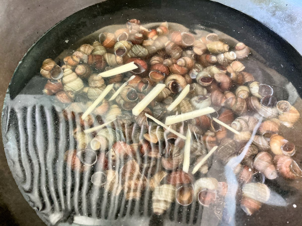 夜宵攤的《香辣田螺》的做法-香辣味炒菜譜-易網健康養生網 夜宵攤的《香辣田螺》的做法-香辣味炒菜譜