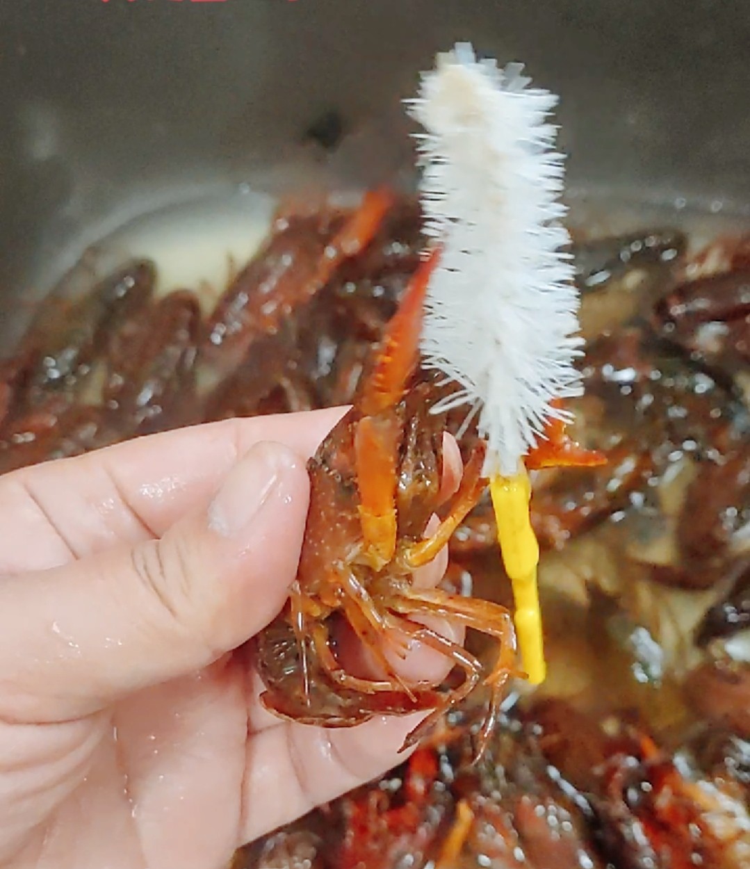 香辣小龍蝦的做法-香辣味其它工藝菜譜-易網健康養生網 香辣小龍蝦的做法-香辣味其它工藝菜譜