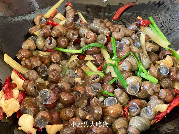 夜宵攤的《香辣田螺》的做法-香辣味炒菜譜-易網健康養生網 夜宵攤的《香辣田螺》的做法-香辣味炒菜譜