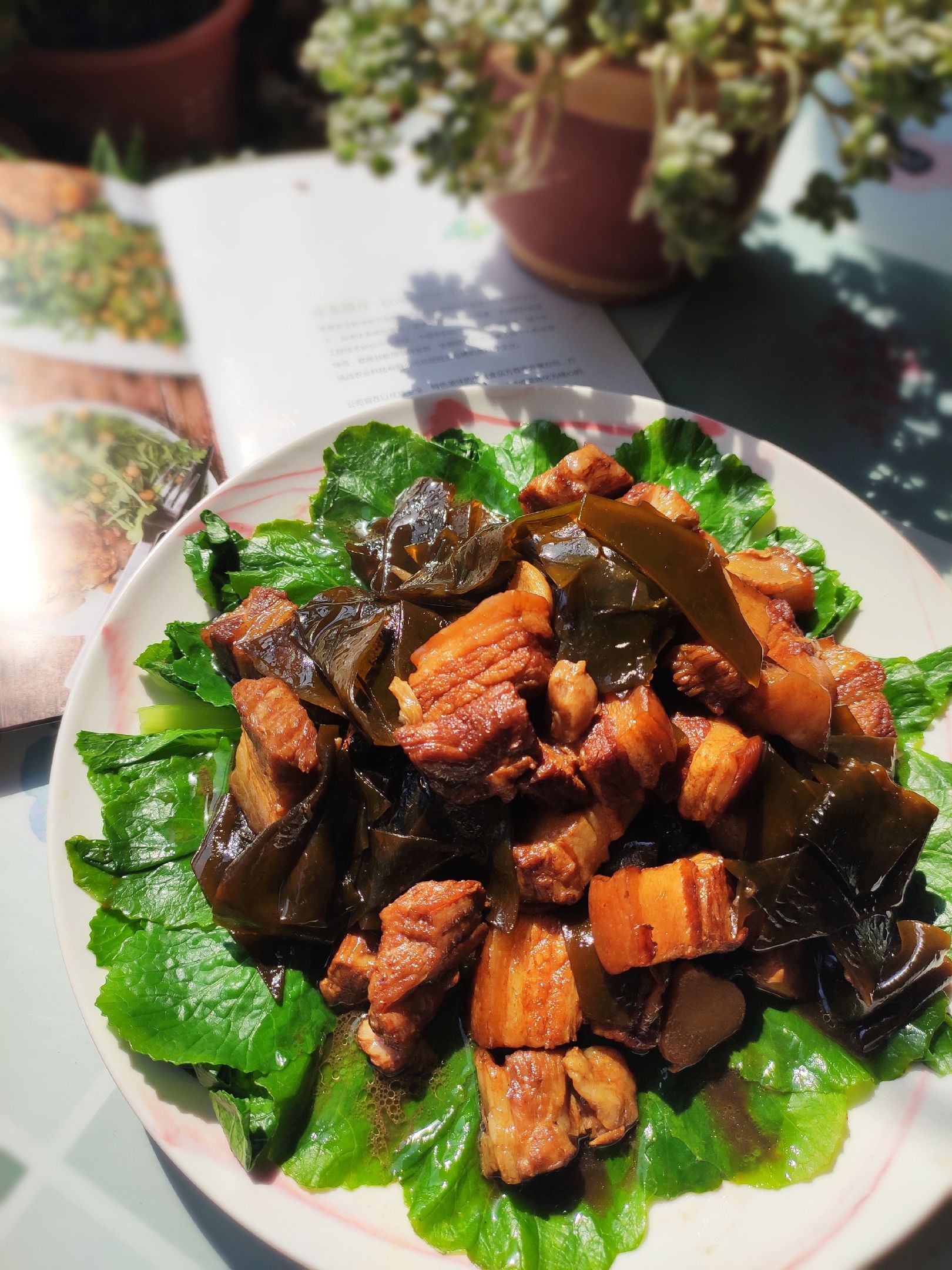 紅燒肉燉海帶的做法-咸鮮味燉菜譜