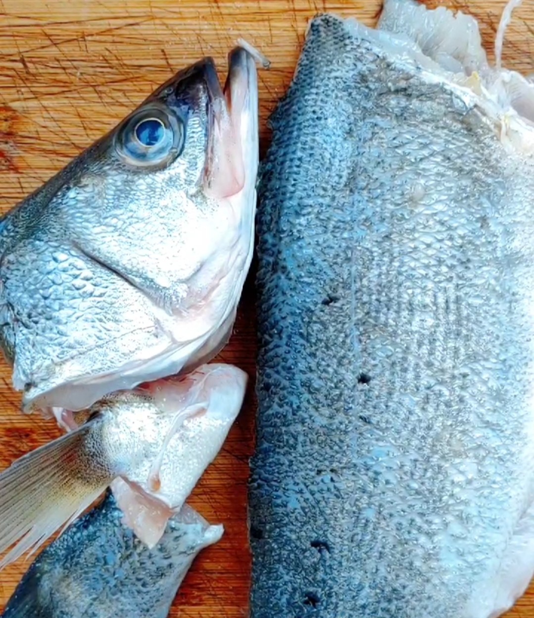 臭鱸魚的做法-其它口味其它工藝菜譜-易網<a href=http://www.jsjjzhkt.cn/ target=_blank class=infotextkey>健康養生</a>網 臭鱸魚的做法-其它口味其它工藝菜譜