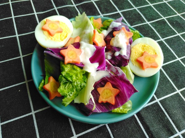 雞蛋蔬菜沙拉的做法-酸甜味拌菜譜-易網(wǎng)健康養(yǎng)生網(wǎng) 雞蛋蔬菜沙拉的做法-酸甜味拌菜譜