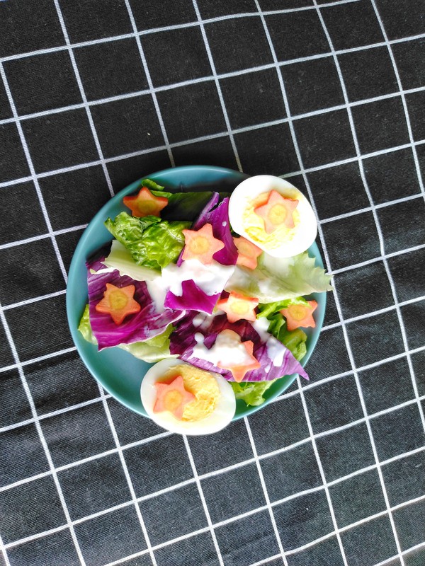 雞蛋蔬菜沙拉的做法-酸甜味拌菜譜-易網(wǎng)健康養(yǎng)生網(wǎng) 雞蛋蔬菜沙拉的做法-酸甜味拌菜譜