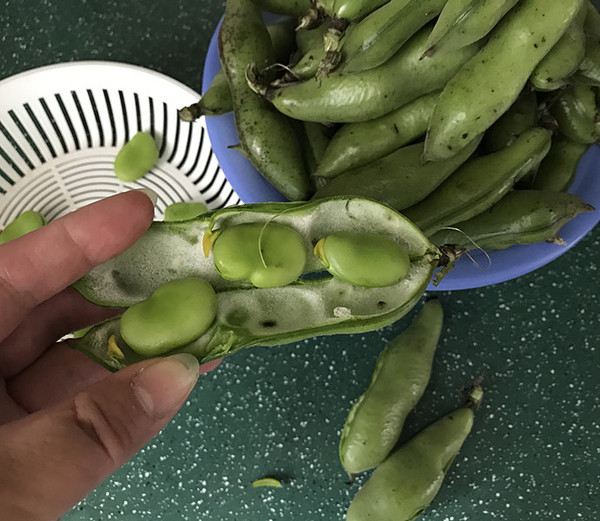 五香蠶豆的做法-五香味煮菜譜-易網健康養生網 五香蠶豆的做法-五香味煮菜譜