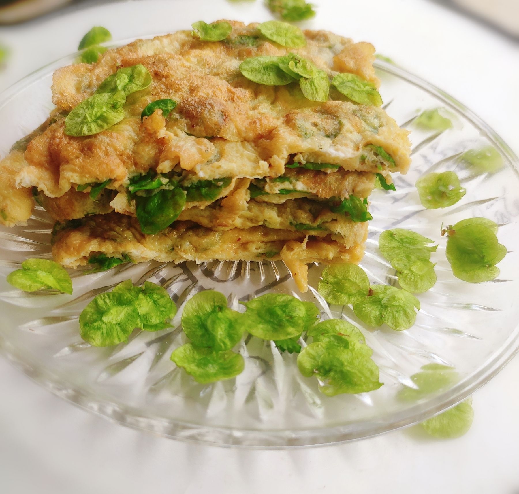 榆樹錢煎蛋的做法-咸鮮味煎菜譜-易網(wǎng)健康養(yǎng)生網(wǎng) 榆樹錢煎蛋的做法-咸鮮味煎菜譜